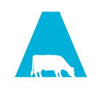 Apparatus Creative Agency logo